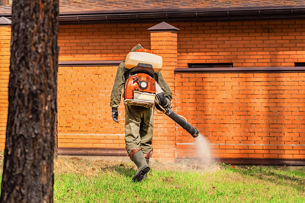 Top rated local Termite Control specialists in Ambler, PA